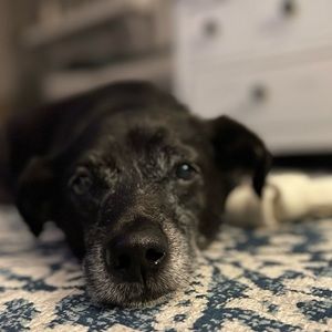 Meet your Posher, Tracy